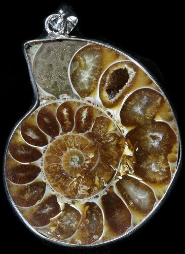 Fossil Ammonite Pendant - Million Years Old #37928